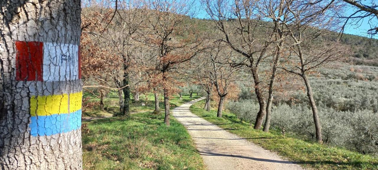 Domus Antiqua Bed & Breakfast Spello Bagian luar foto
