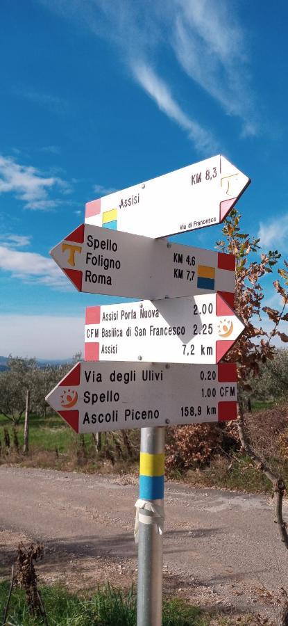 Domus Antiqua Bed & Breakfast Spello Bagian luar foto
