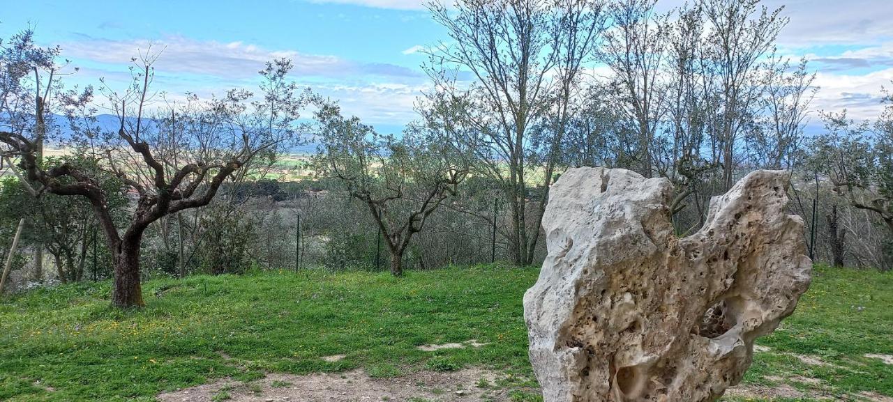 Domus Antiqua Bed & Breakfast Spello Bagian luar foto