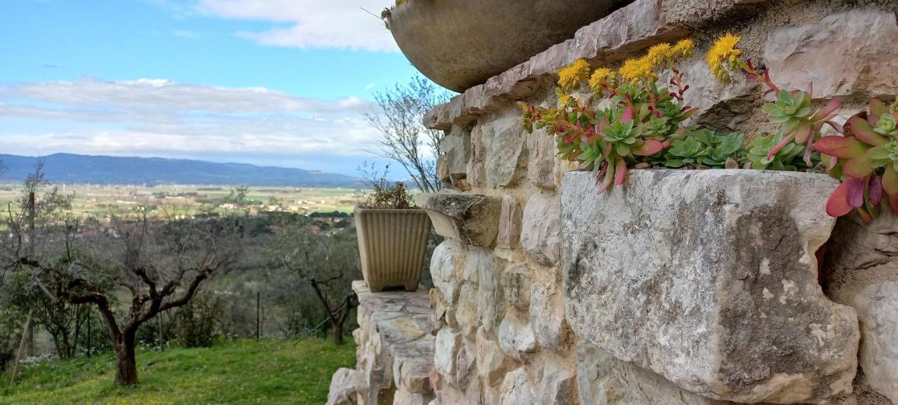 Domus Antiqua Bed & Breakfast Spello Bagian luar foto