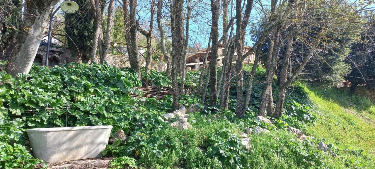 Domus Antiqua Bed & Breakfast Spello Bagian luar foto