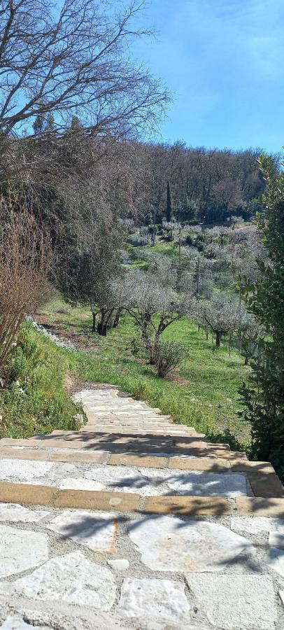 Domus Antiqua Bed & Breakfast Spello Bagian luar foto