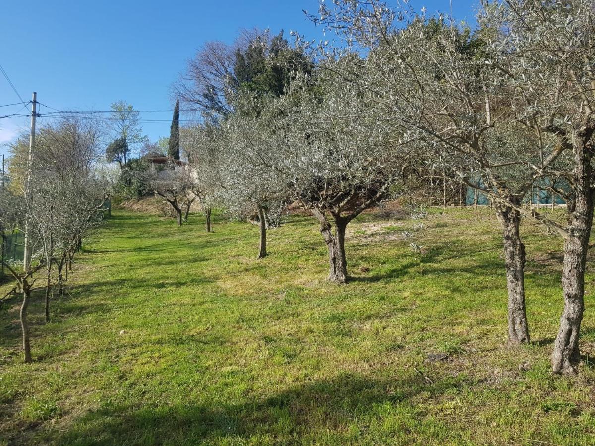 Domus Antiqua Bed & Breakfast Spello Bagian luar foto