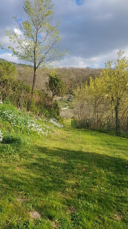 Domus Antiqua Bed & Breakfast Spello Bagian luar foto