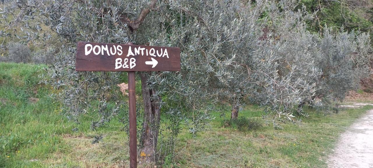 Domus Antiqua Bed & Breakfast Spello Bagian luar foto