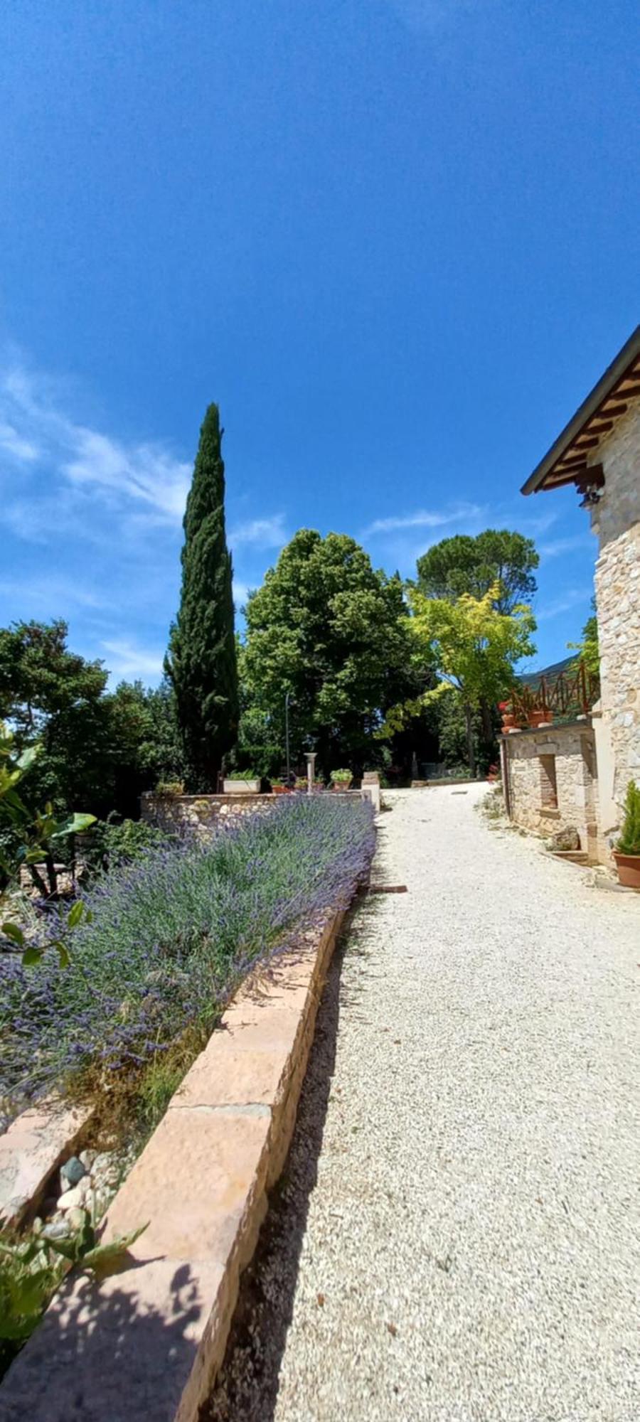 Domus Antiqua Bed & Breakfast Spello Bagian luar foto