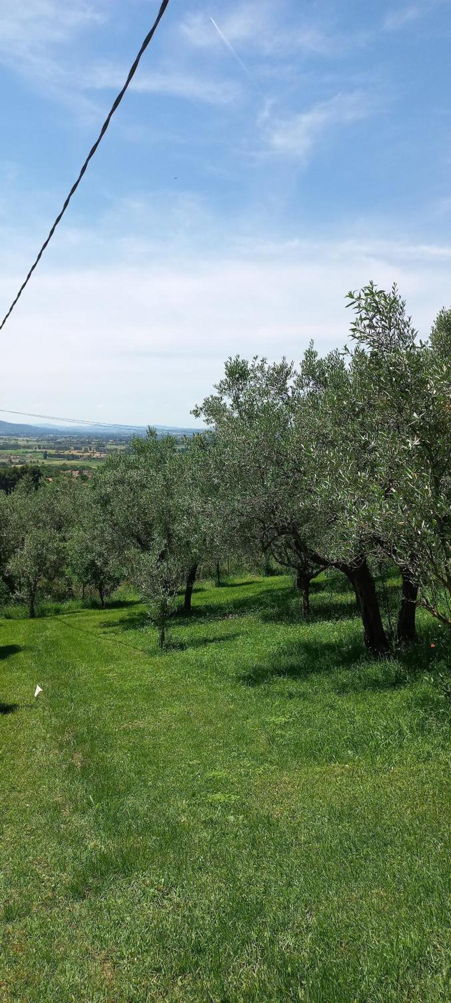 Domus Antiqua Bed & Breakfast Spello Bagian luar foto