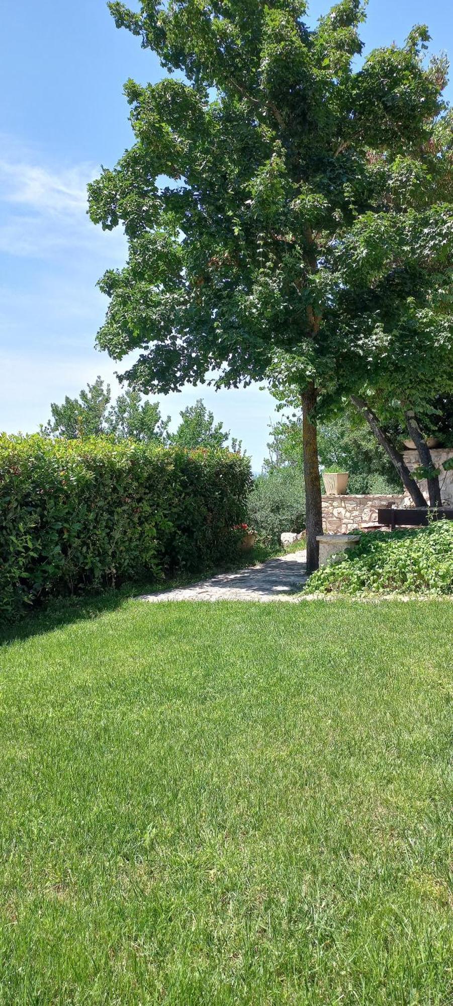 Domus Antiqua Bed & Breakfast Spello Bagian luar foto